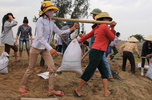 Bão Haiyan đổ bộ vào Hải Phòng, Quảng Ninh gây nhiều thiệt hại về kinh tế - ảnh 3